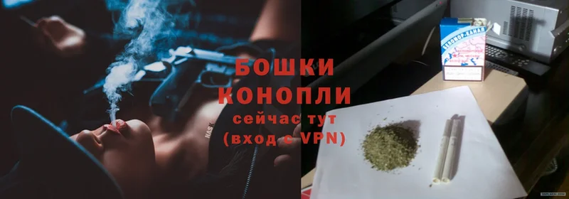 hydra как войти  Димитровград  darknet наркотические препараты  Конопля White Widow 